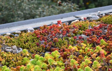 the cost of Thornton Heath green roof installation