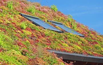 Thornton Heath living roof systems