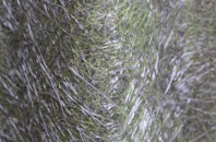 Thornton Heath fibreglass roof work